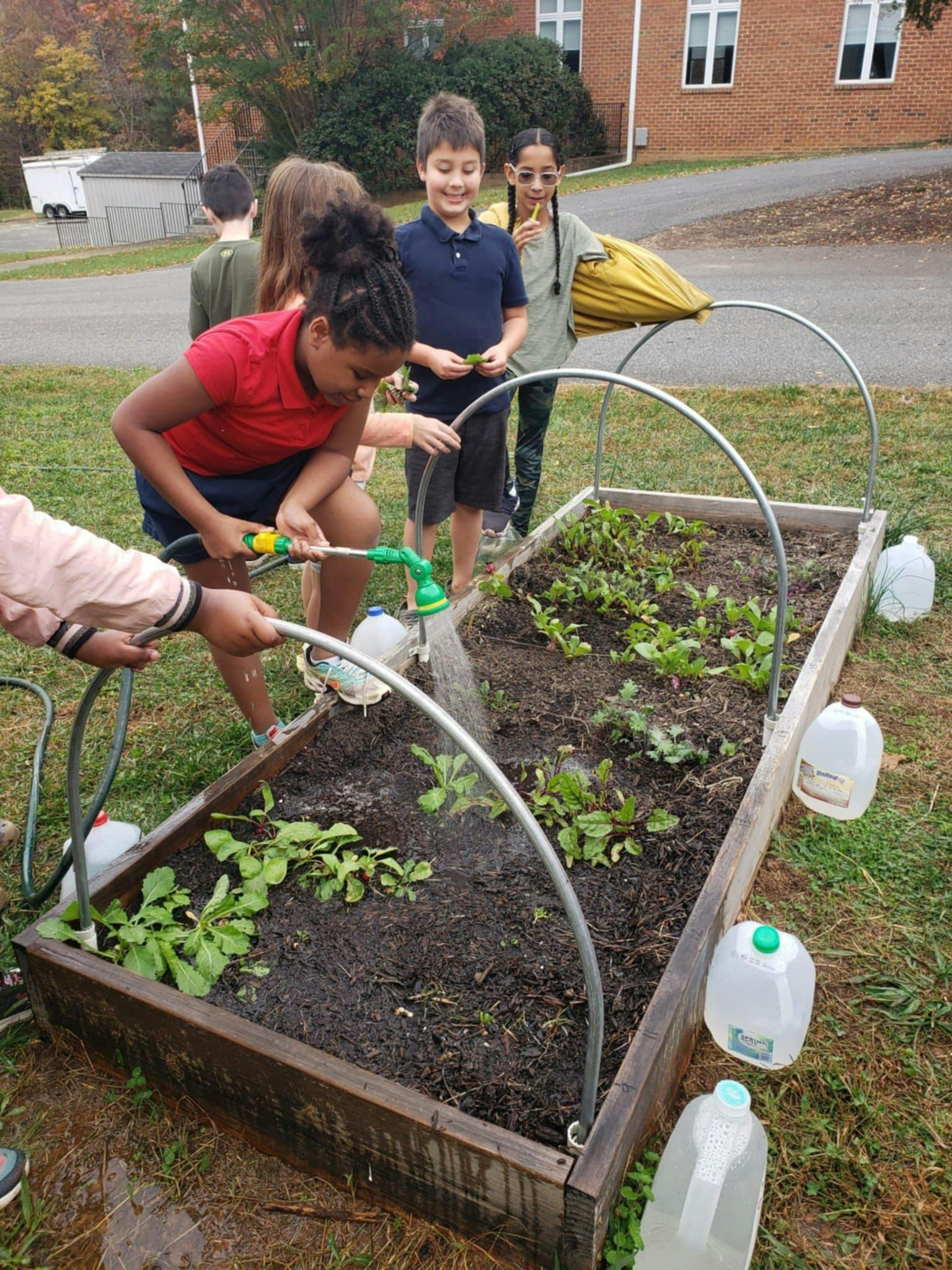 Children watering plants in a raised garden bed