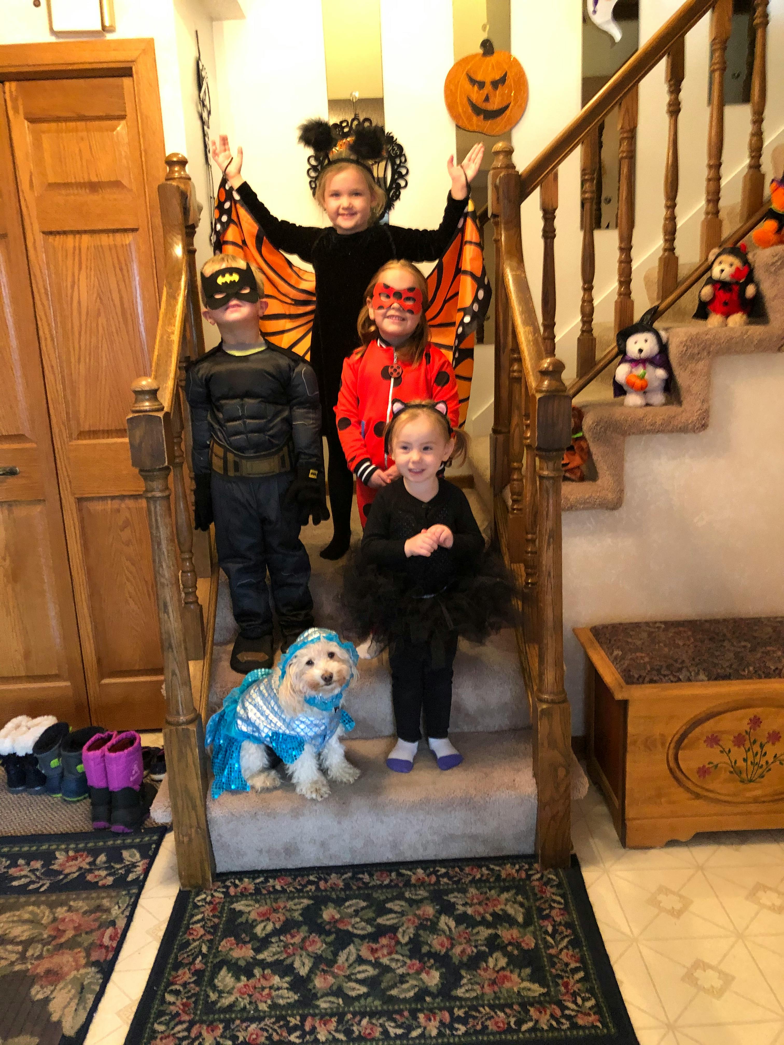 Four children and a dog in Halloween costumes on a staircase