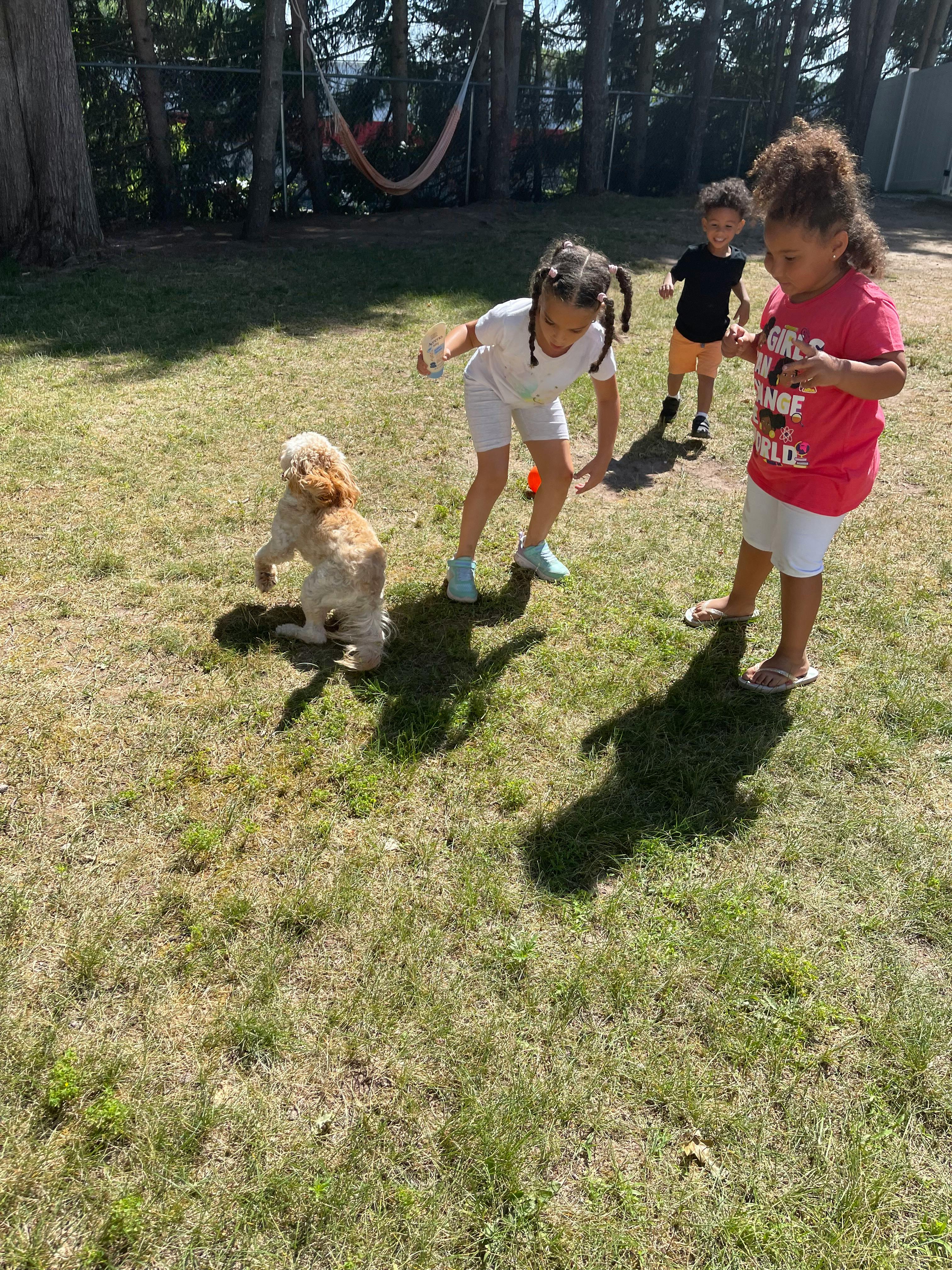 Three children and a dog playing in grass
