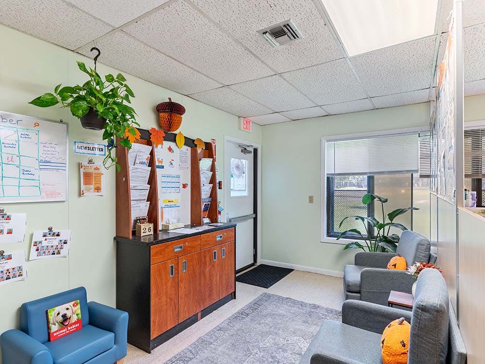 Waiting room with a counter, bulletin board, potted plants, and seating
