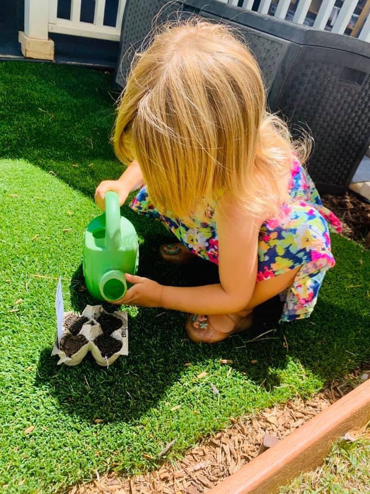 Child watering small plants in an egg carton with a green watering can