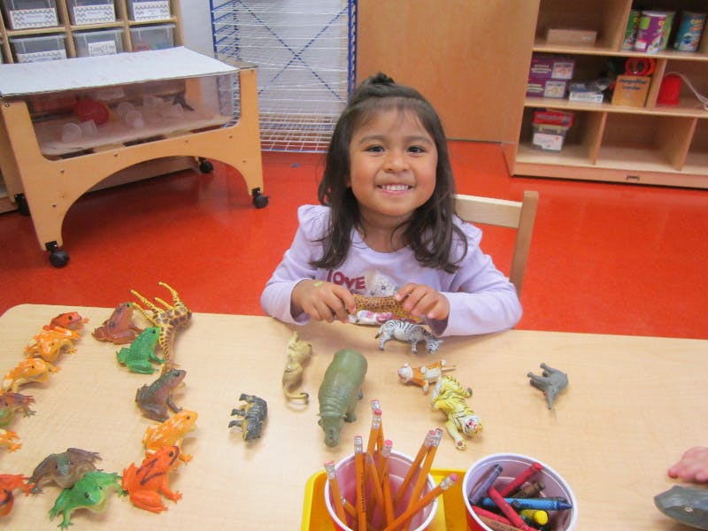 Child playing with animal figurines at a table