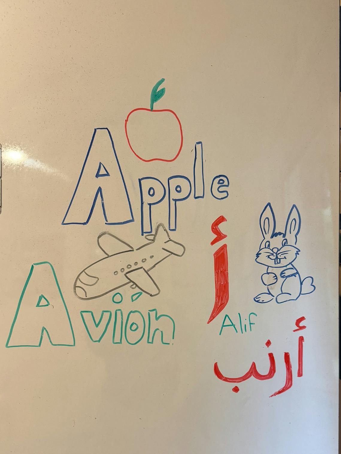Drawings of an apple, airplane, and rabbit with words in English, French, and Arabic