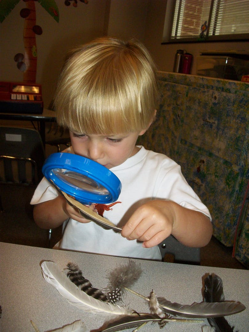 Child looking at a feather through a magnifying glass