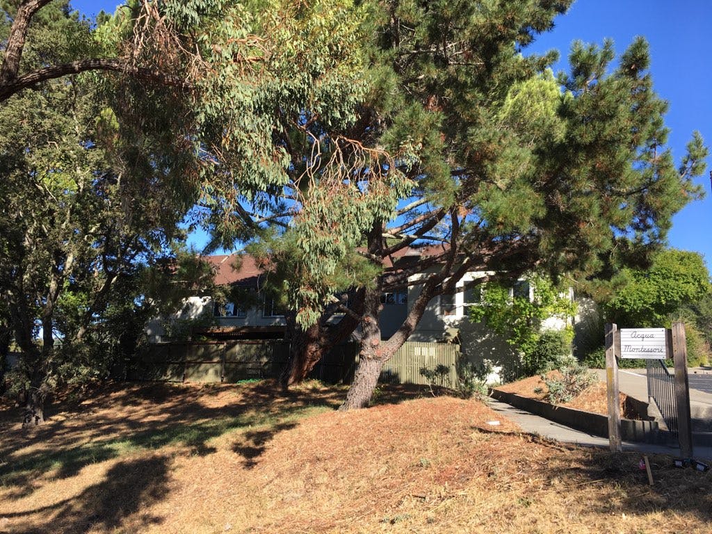 House partially obscured by trees