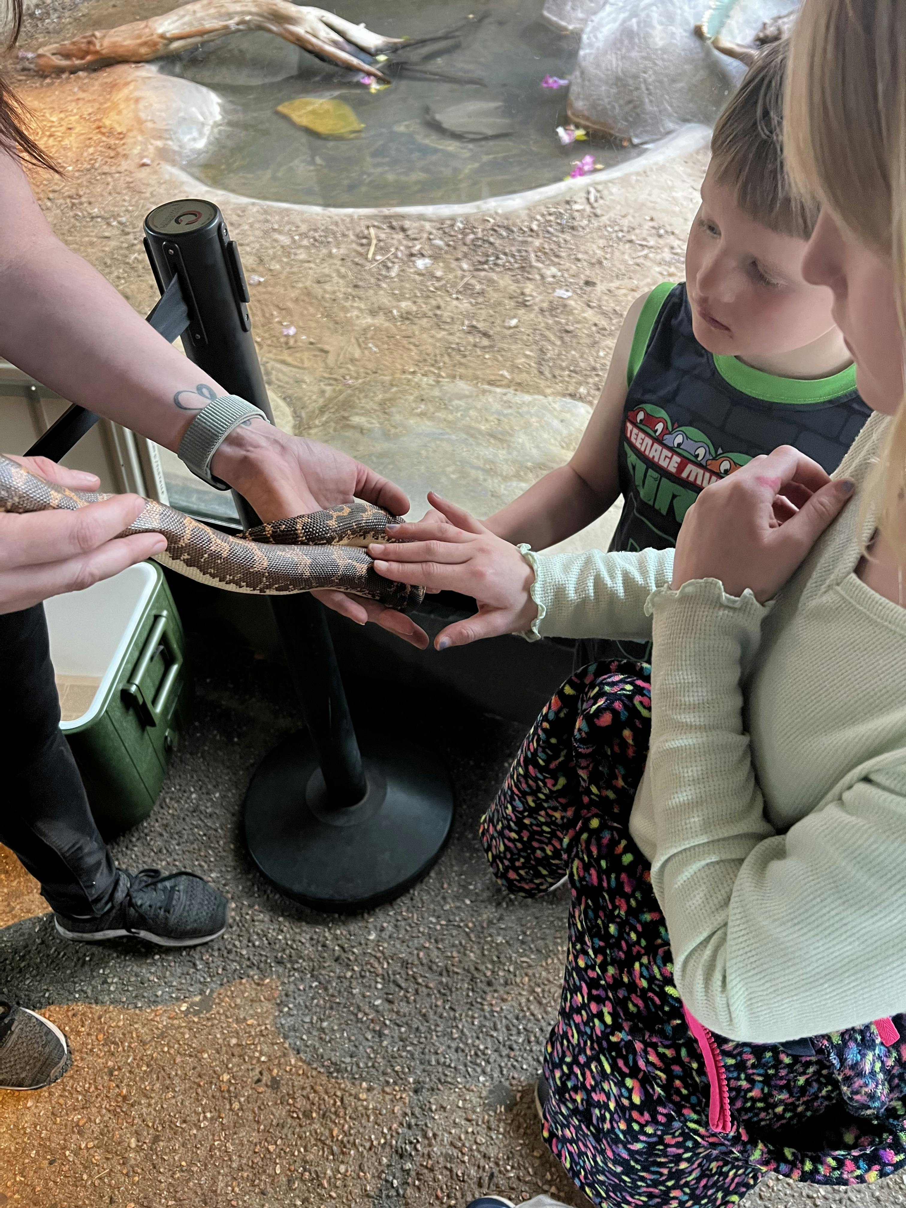 People touching a snake held by a person in a zoo setting