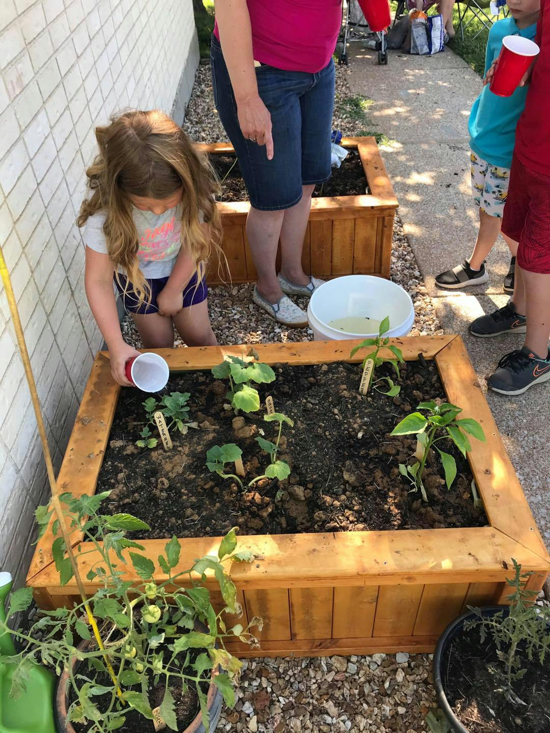 Child watering plants in a raised garden bed