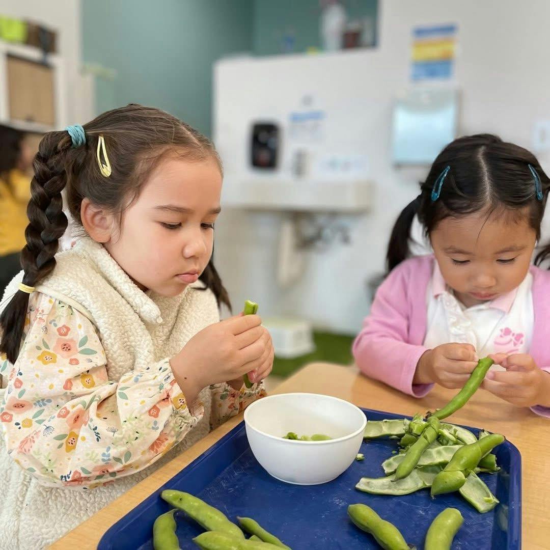 Two children shelling peas at a table
