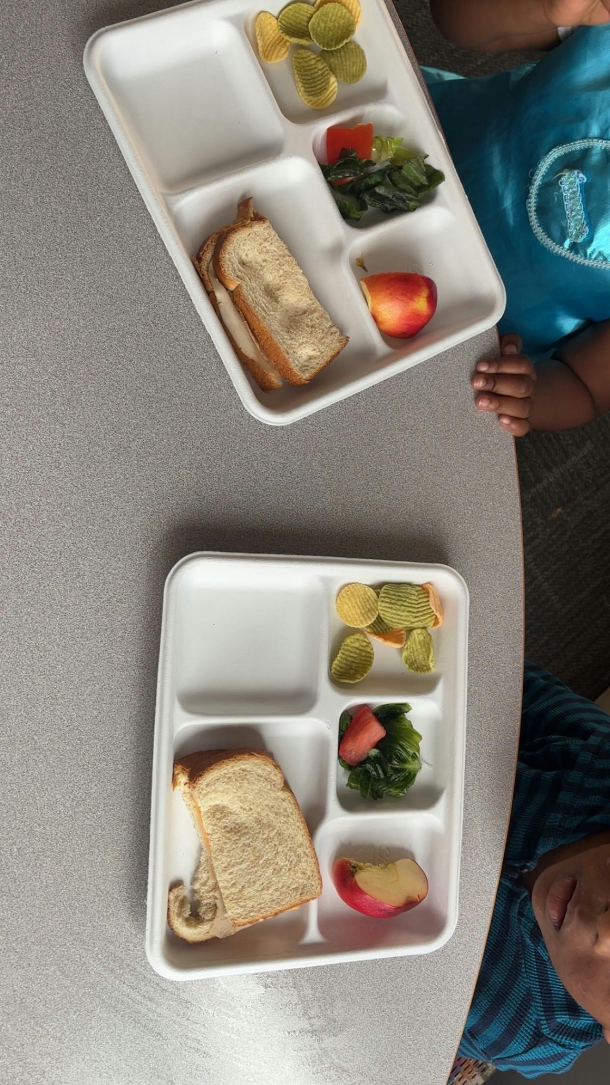People with divided trays containing sandwiches, chips, fruit, and salad