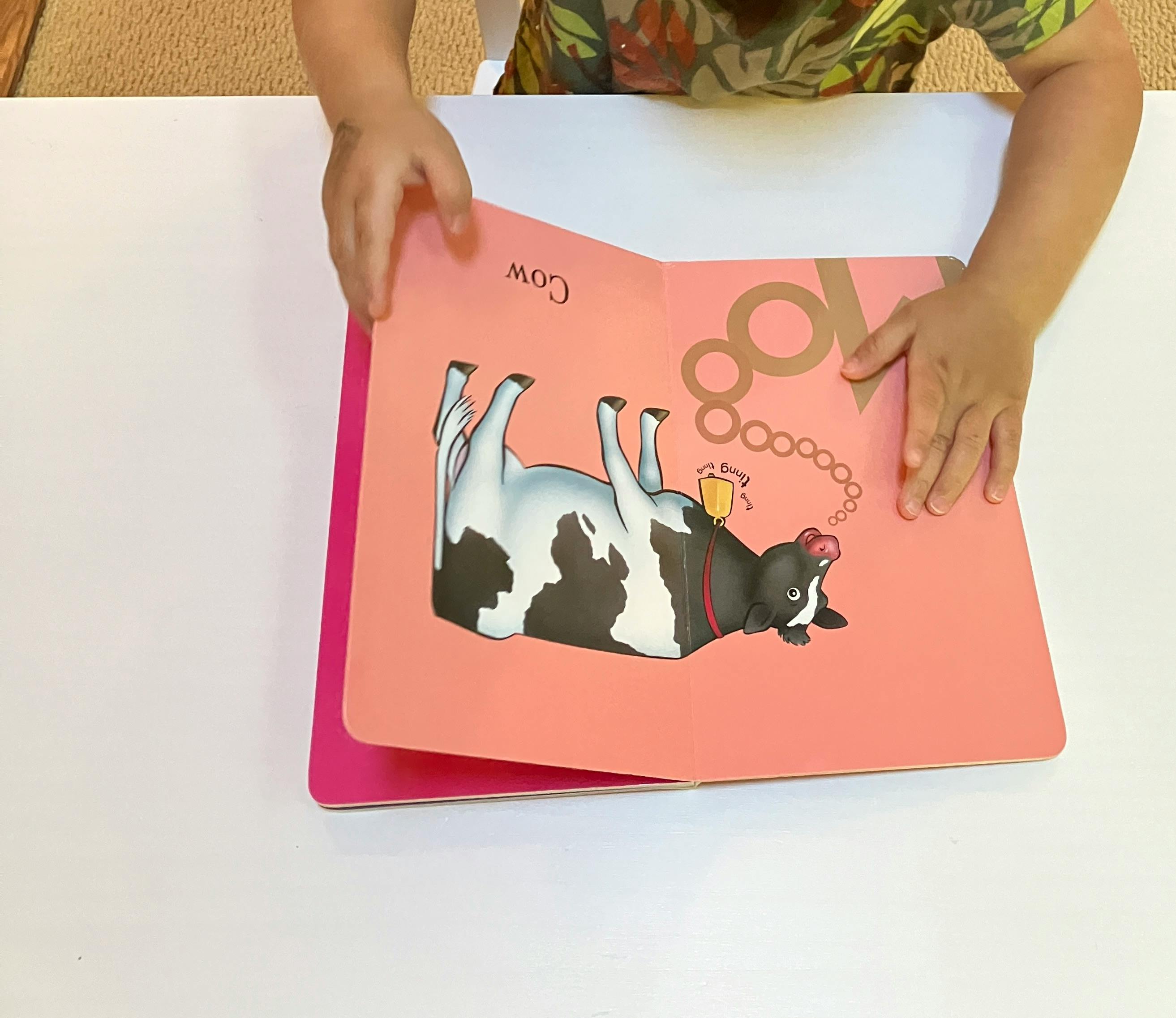 Child's hands holding an open book with a cow illustration