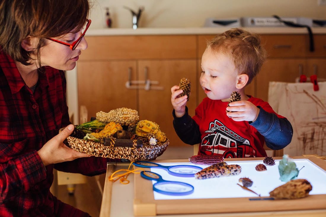 Person holding a basket of natural items for a child examining pinecones