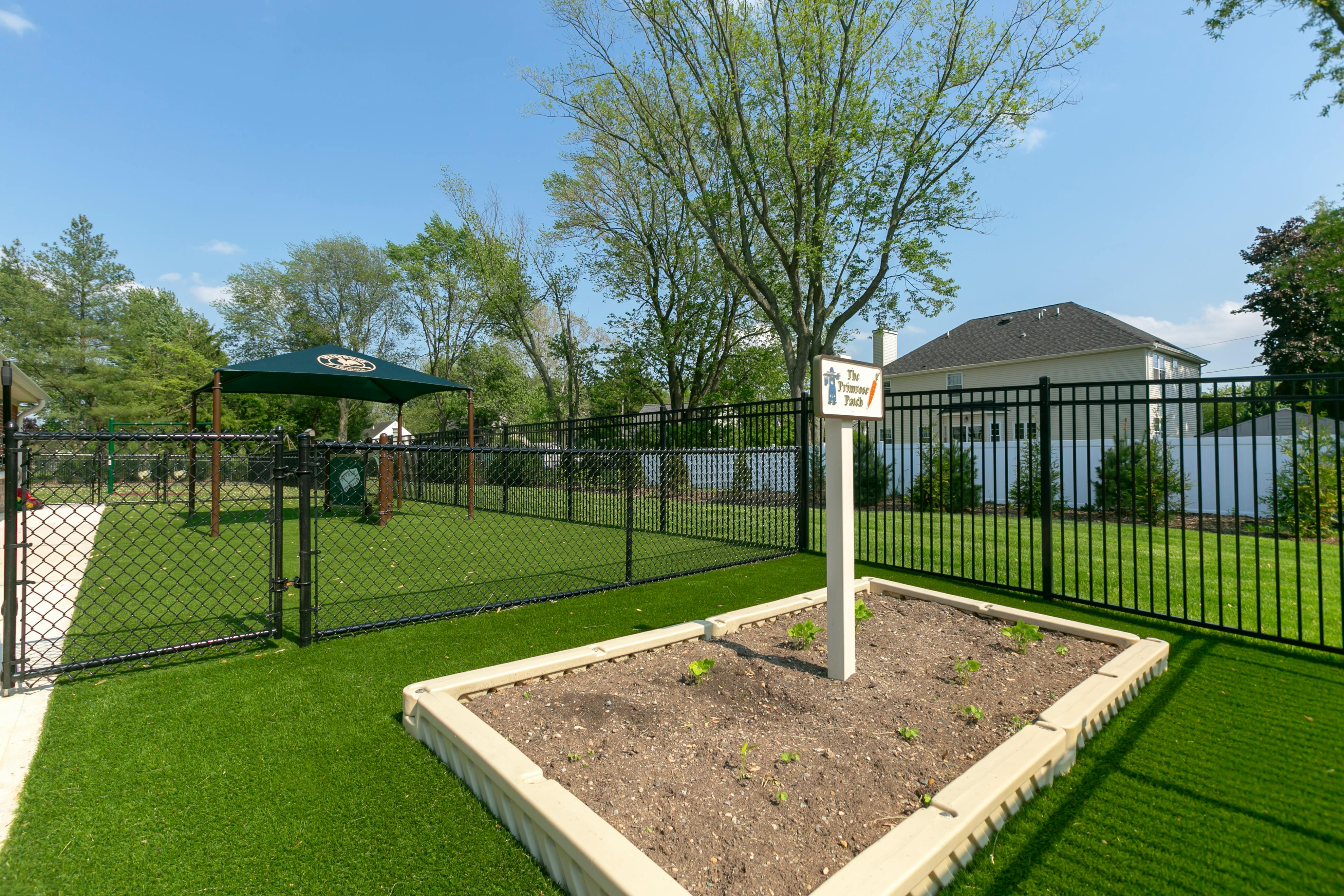 Fenced playground with artificial turf, garden bed with sprouts, and sign reading "The Primrose Patch"