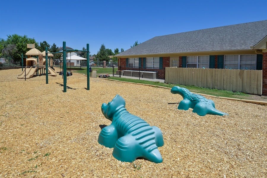 Playground with dinosaur spring riders and play structure