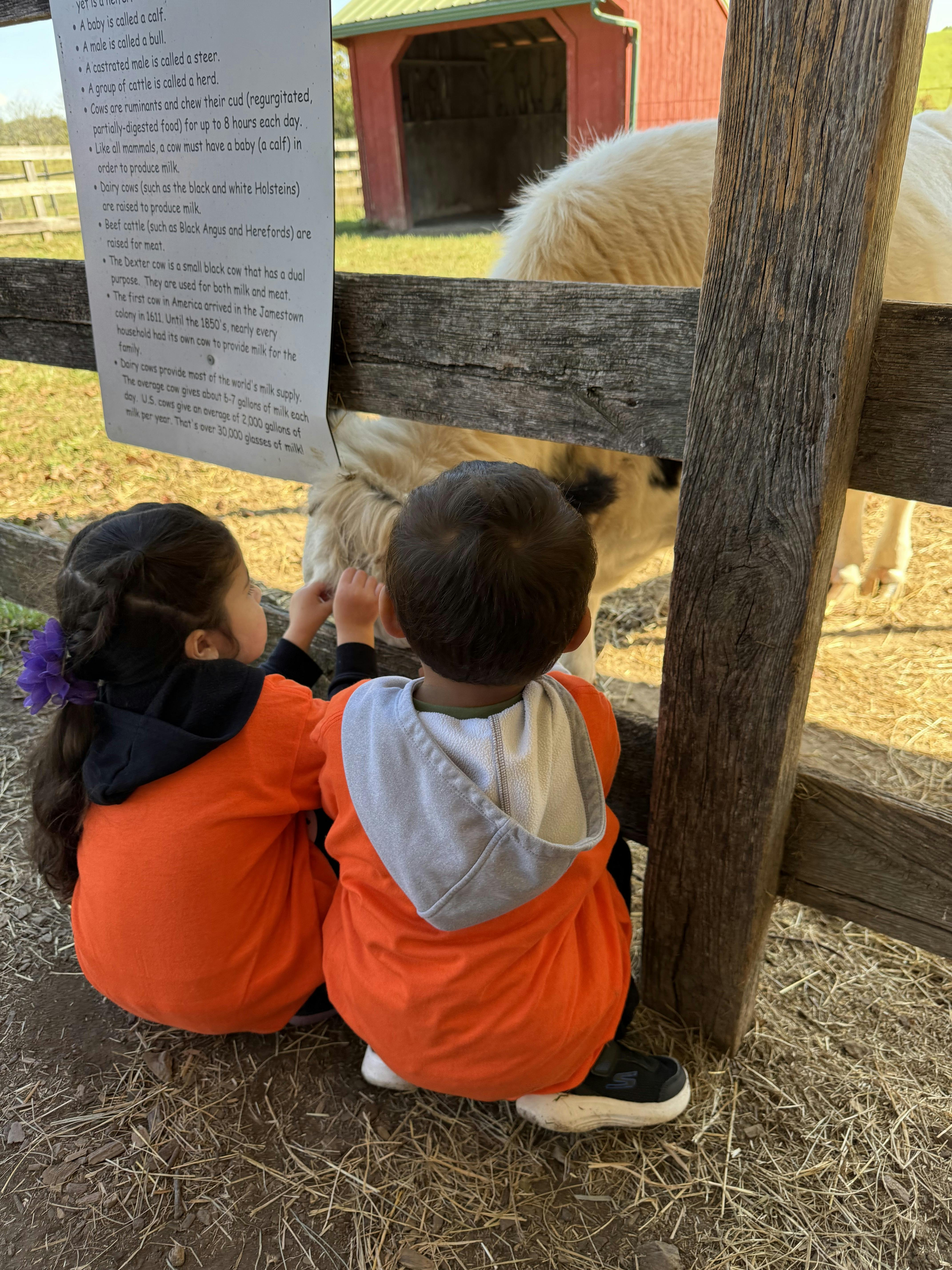 Two children sitting by a wooden fence interacting with an animal