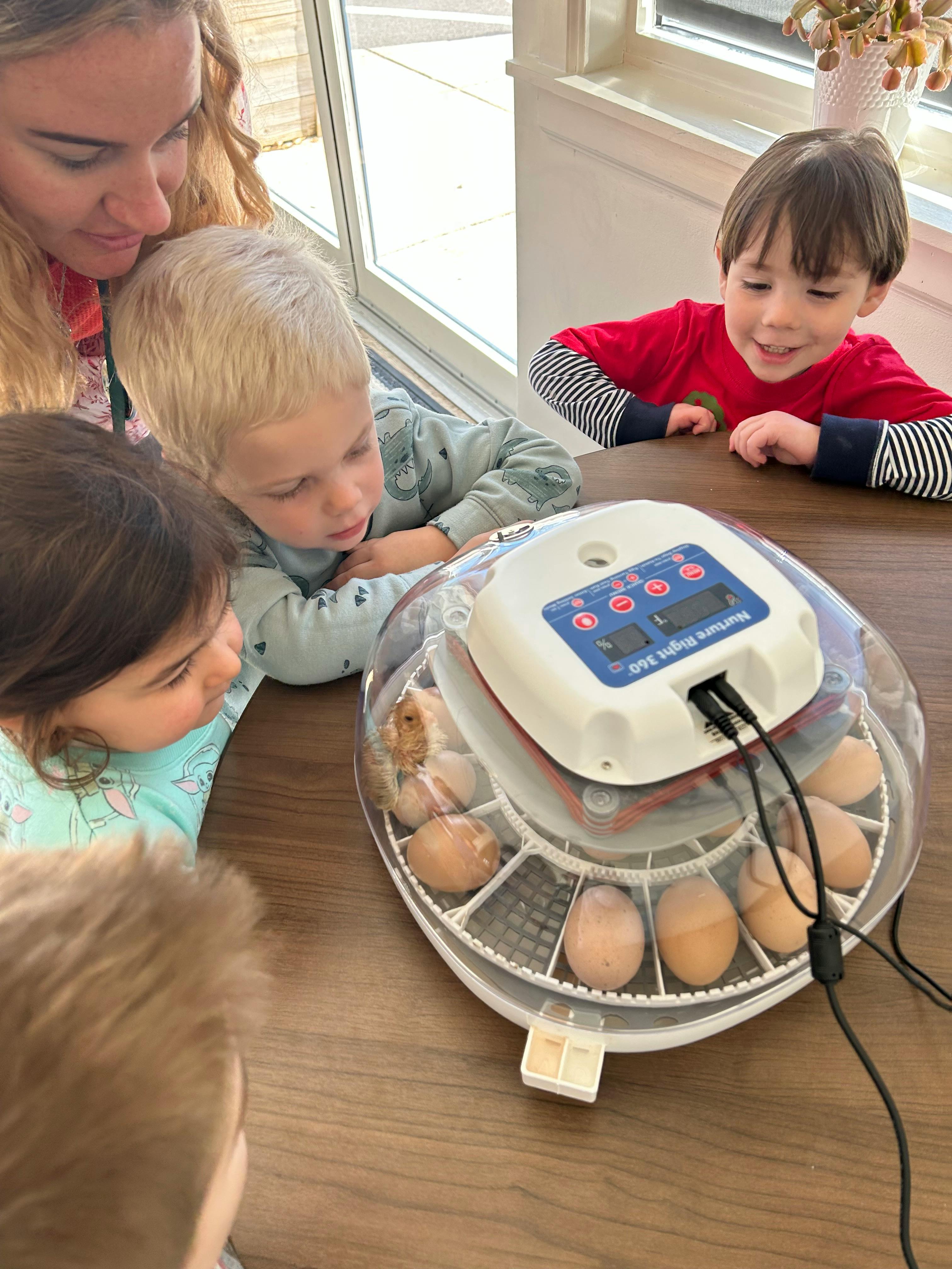 Adult and children looking at eggs in an incubator