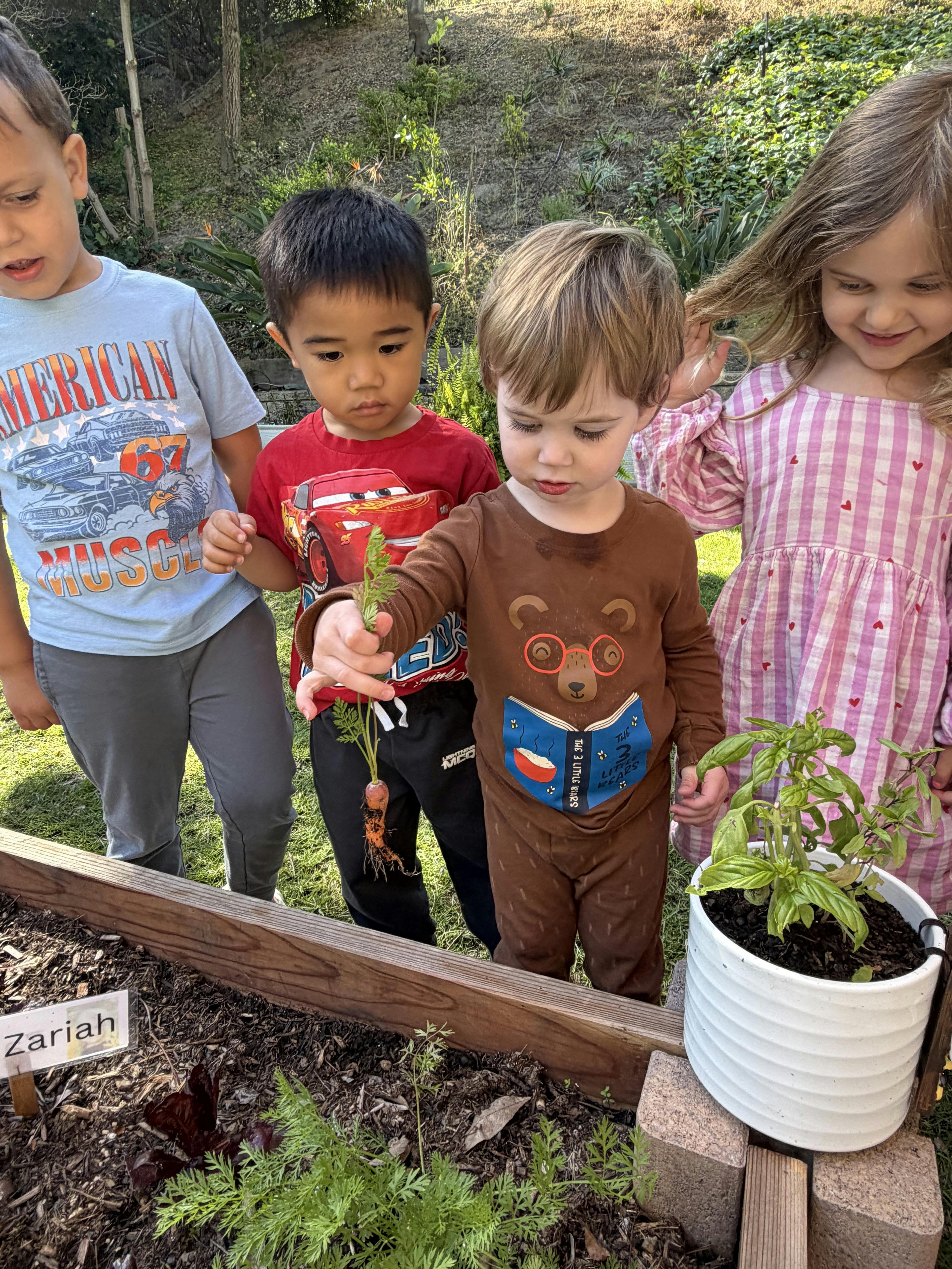 Four children in a garden looking at a small carrot