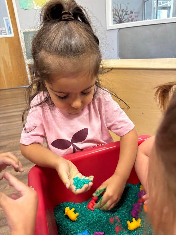 Child playing with green sensory bin filler and small toys