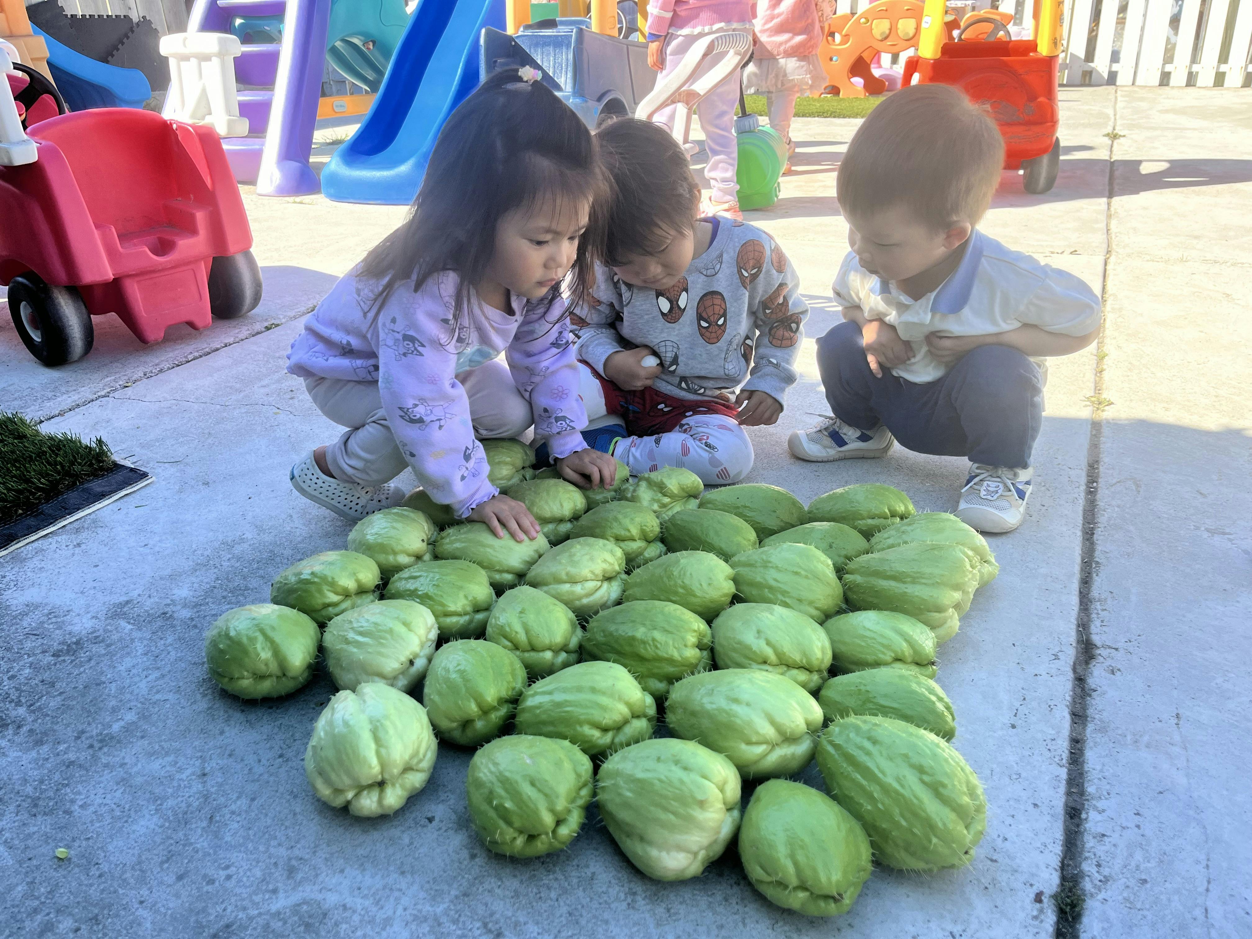 Three children looking at a pile of green chayote squash on the ground