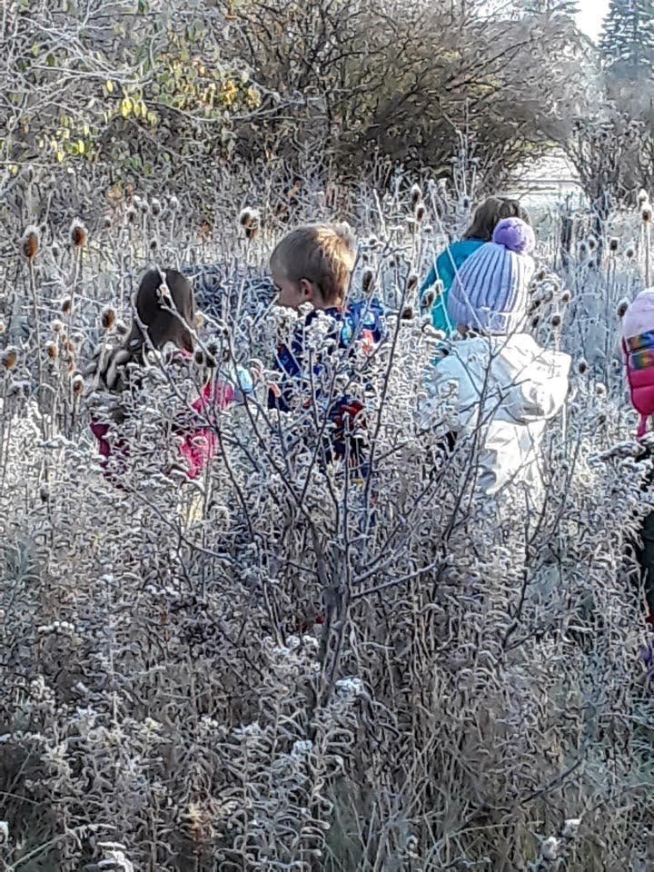Children walking through frosted tall grass and plants