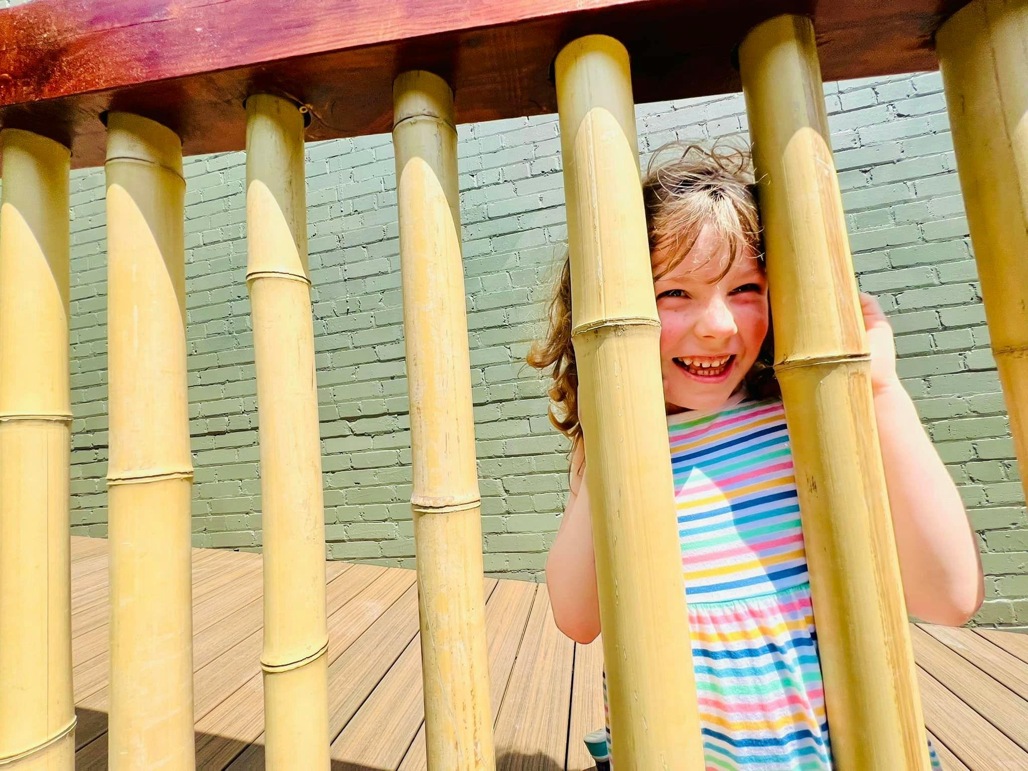 Child peeking through bamboo poles
