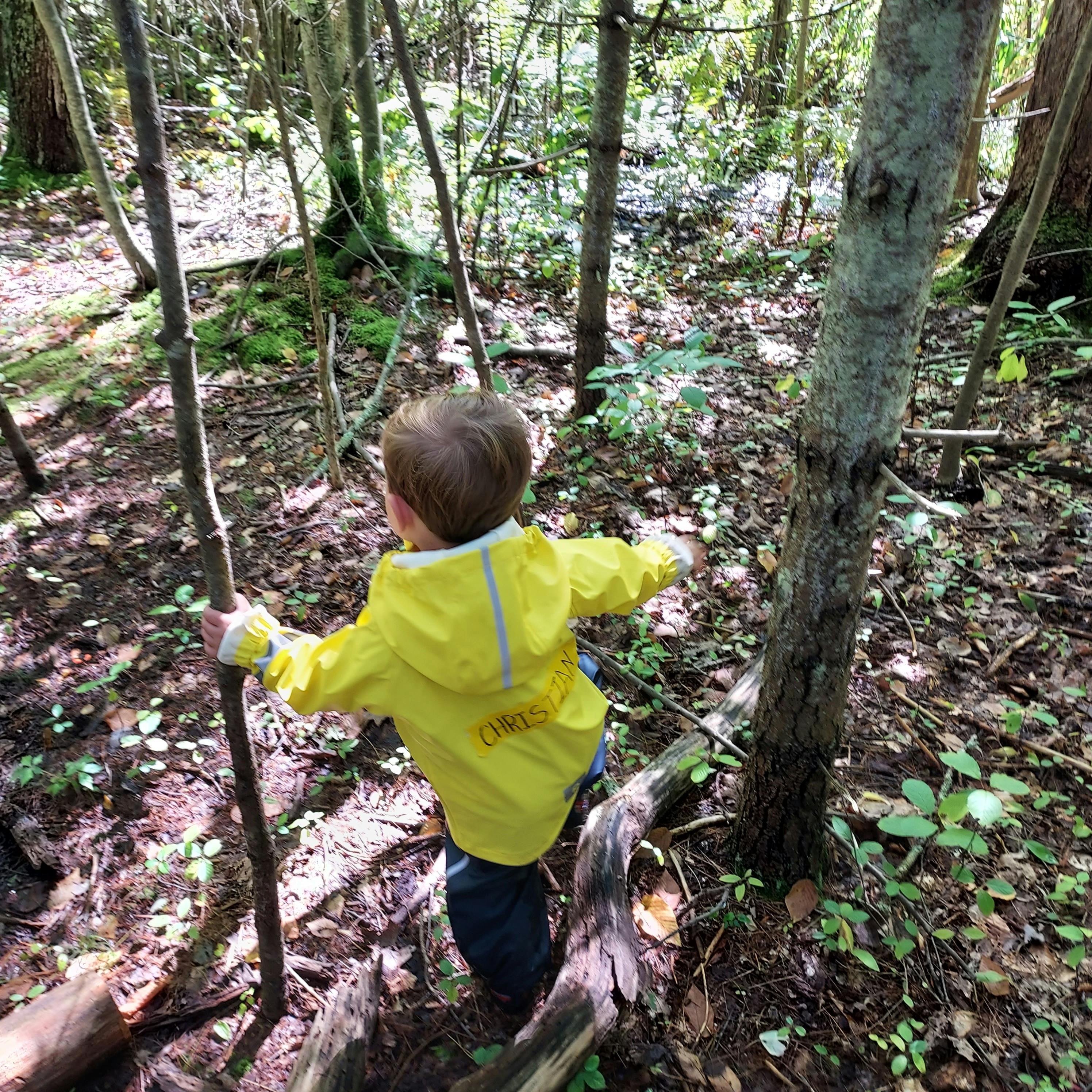 Child in yellow jacket walking through a wooded area