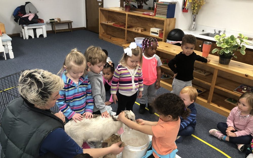 Adult and children gathered around a small animal in a classroom