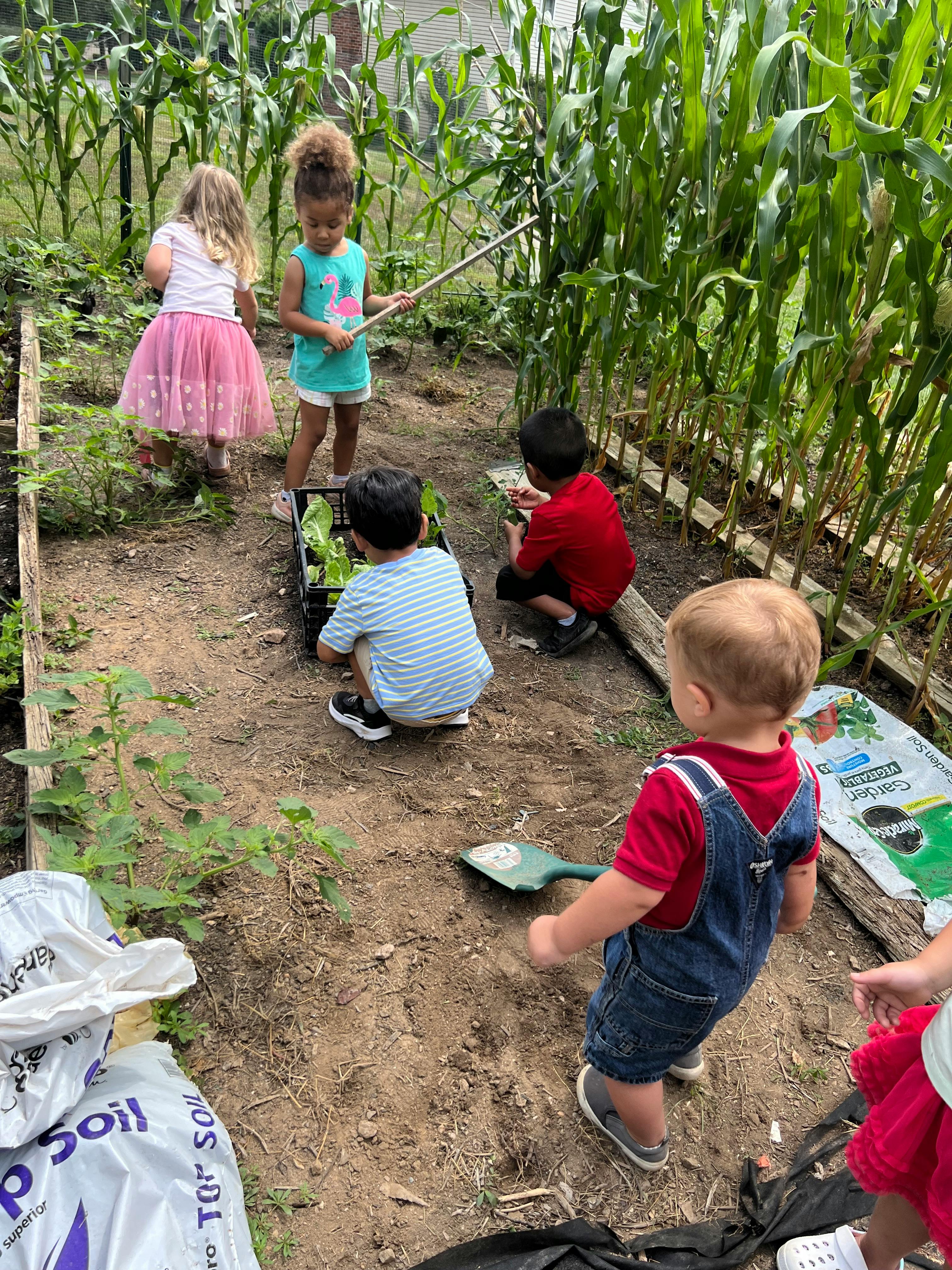 Children in a garden with tall plants