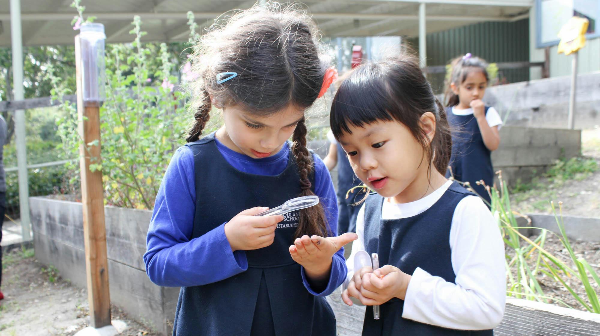 Two children looking at something in a child's hand with a magnifying glass