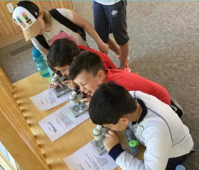 Children looking into microscopes