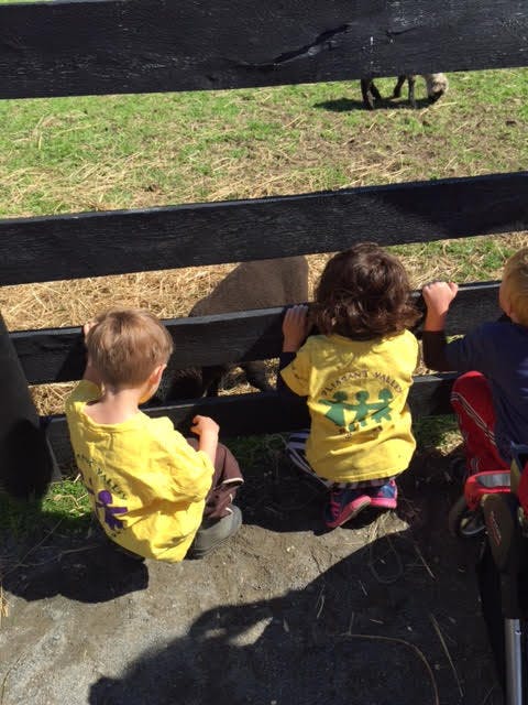 Pleasant Valley Preschool Preschool in Chantilly, VA Winnie