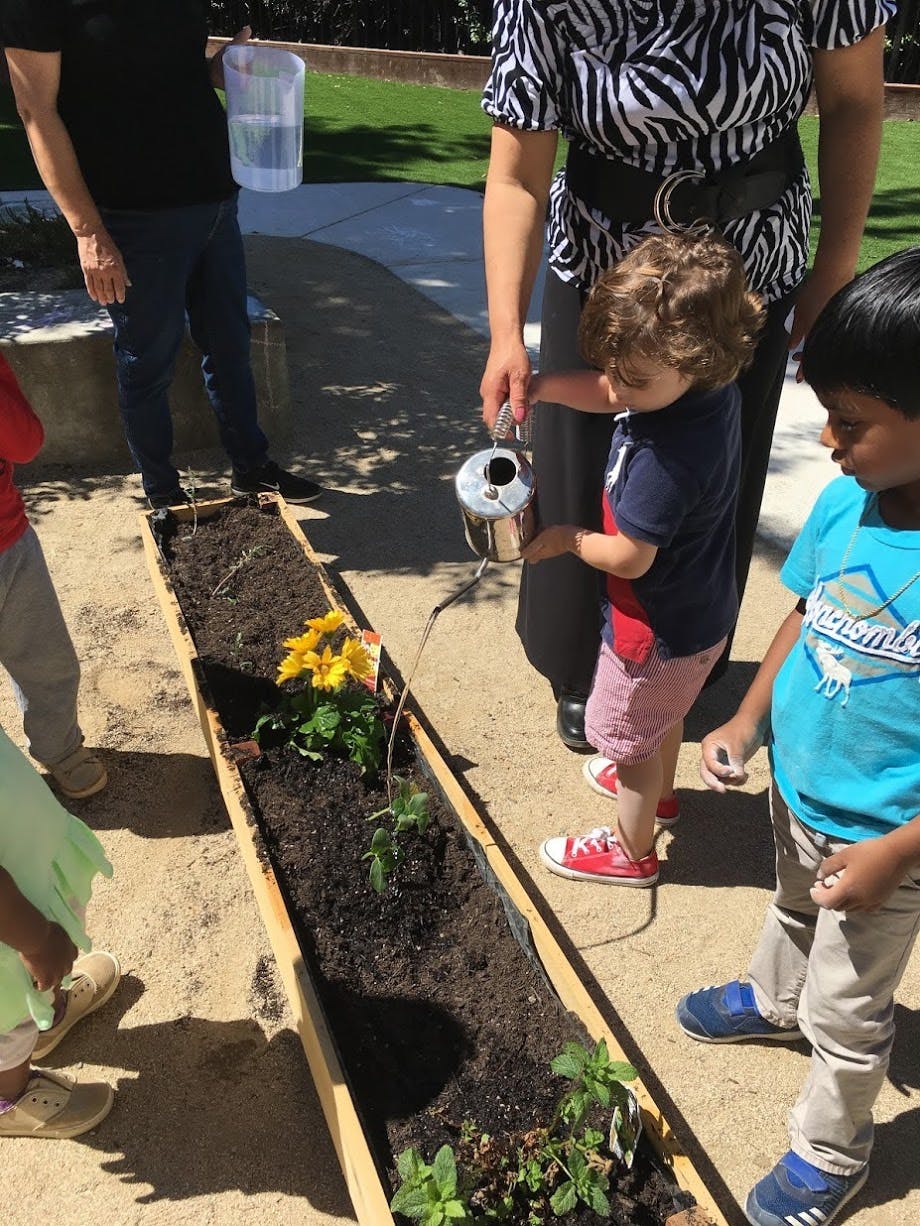 Global Village Montessori Preschool (Pleasanton) Preschool in