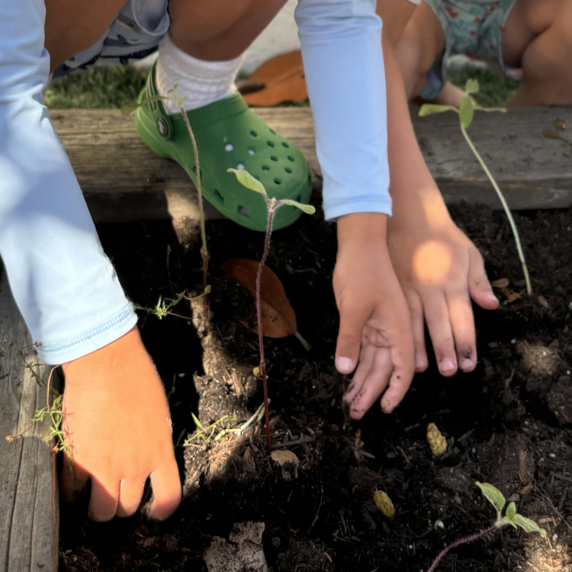 People gardening in soil