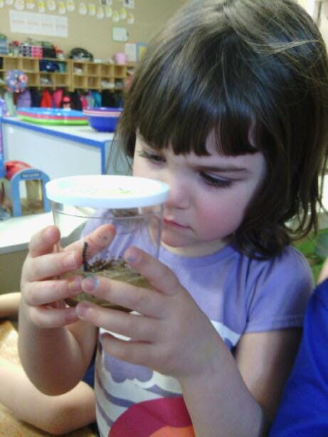 Child looking at an insect in a jar in a classroom