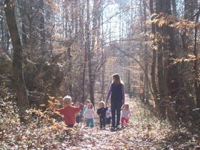 Adult and multiple children walking on a path in a wooded area