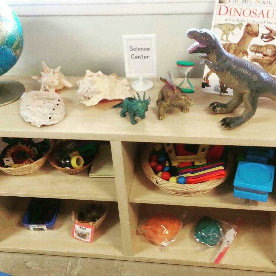 Science center with dinosaur toys, seashells, and a globe