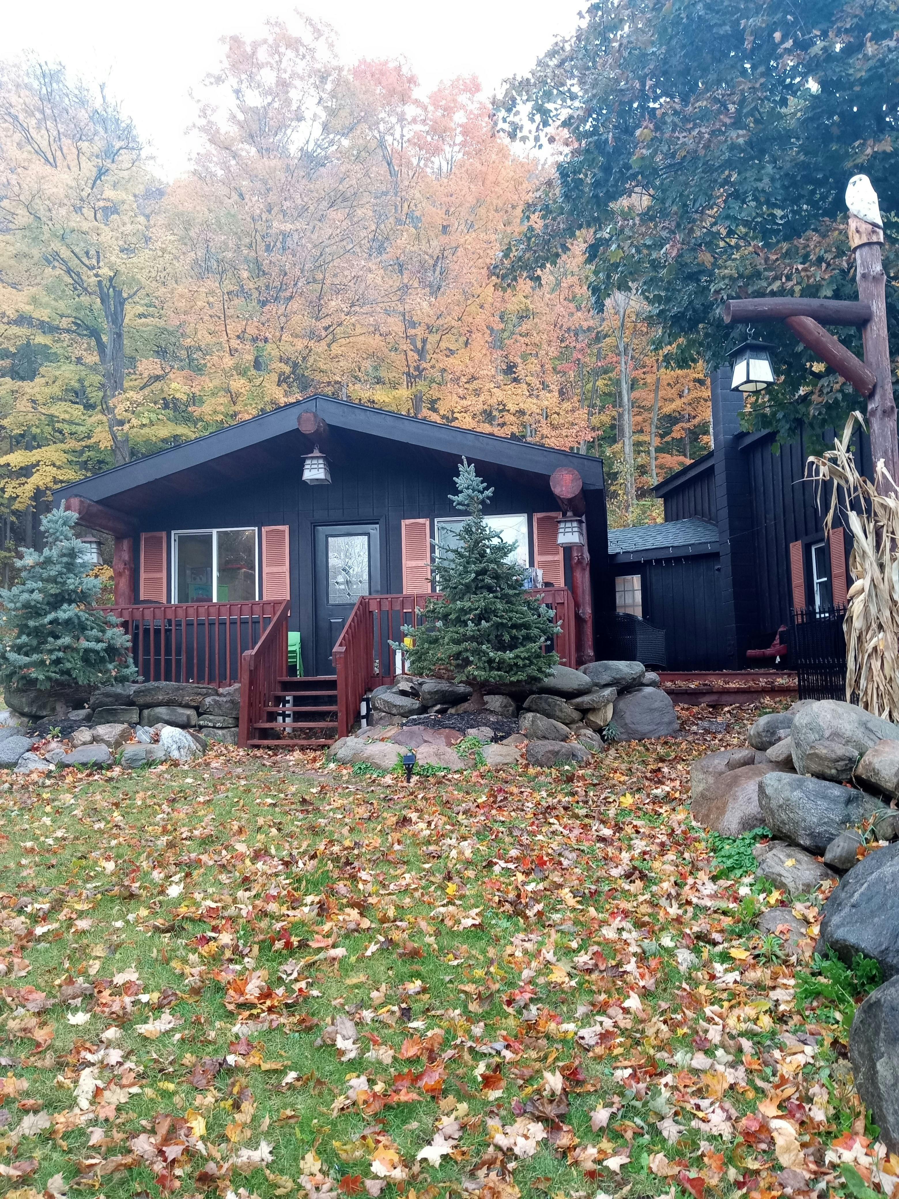 Cabin with red shutters and porch, surrounded by autumn trees and fallen leaves