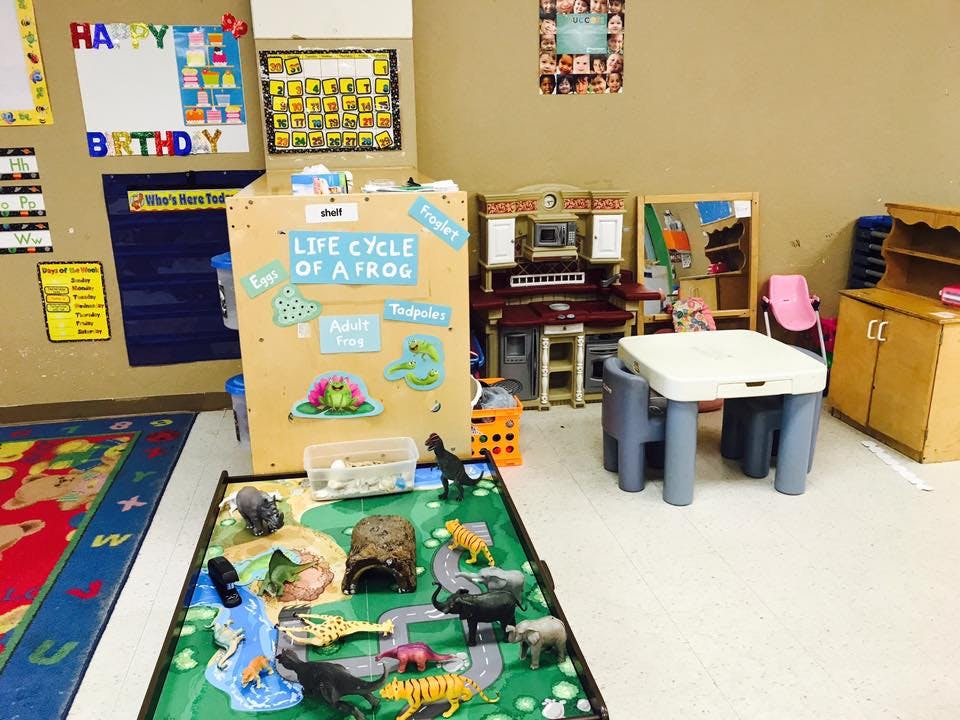 Classroom with a "Life Cycle of a Frog" display and animal toys