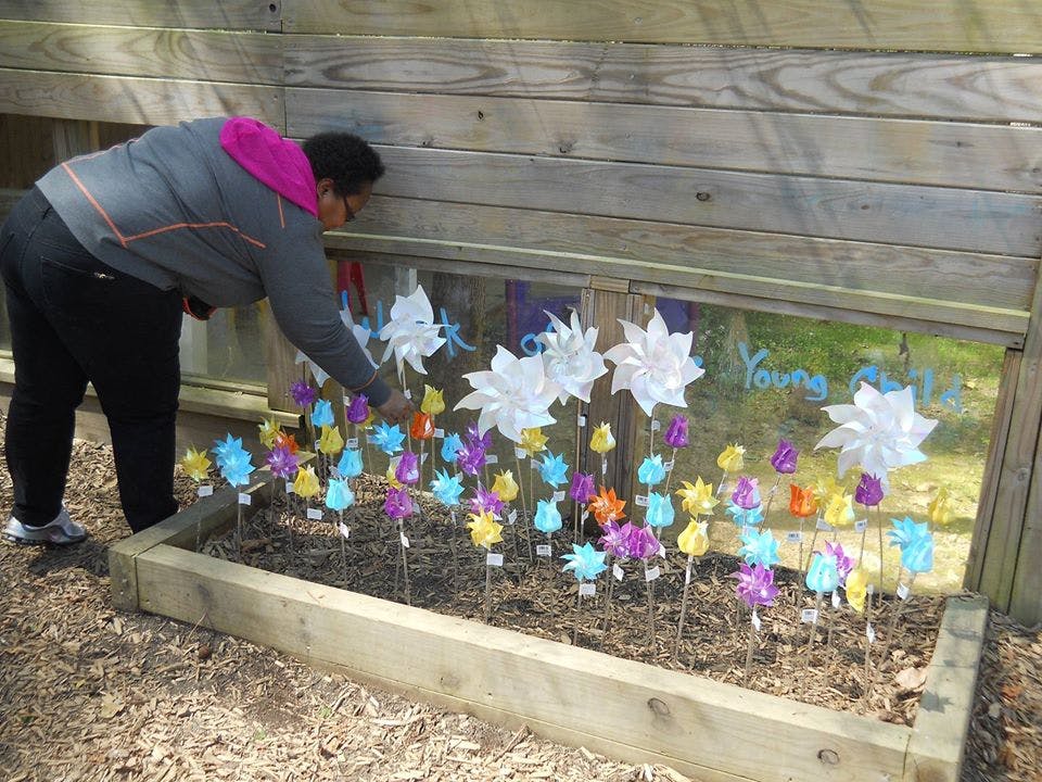 Person tending to colorful pinwheels in a raised garden bed