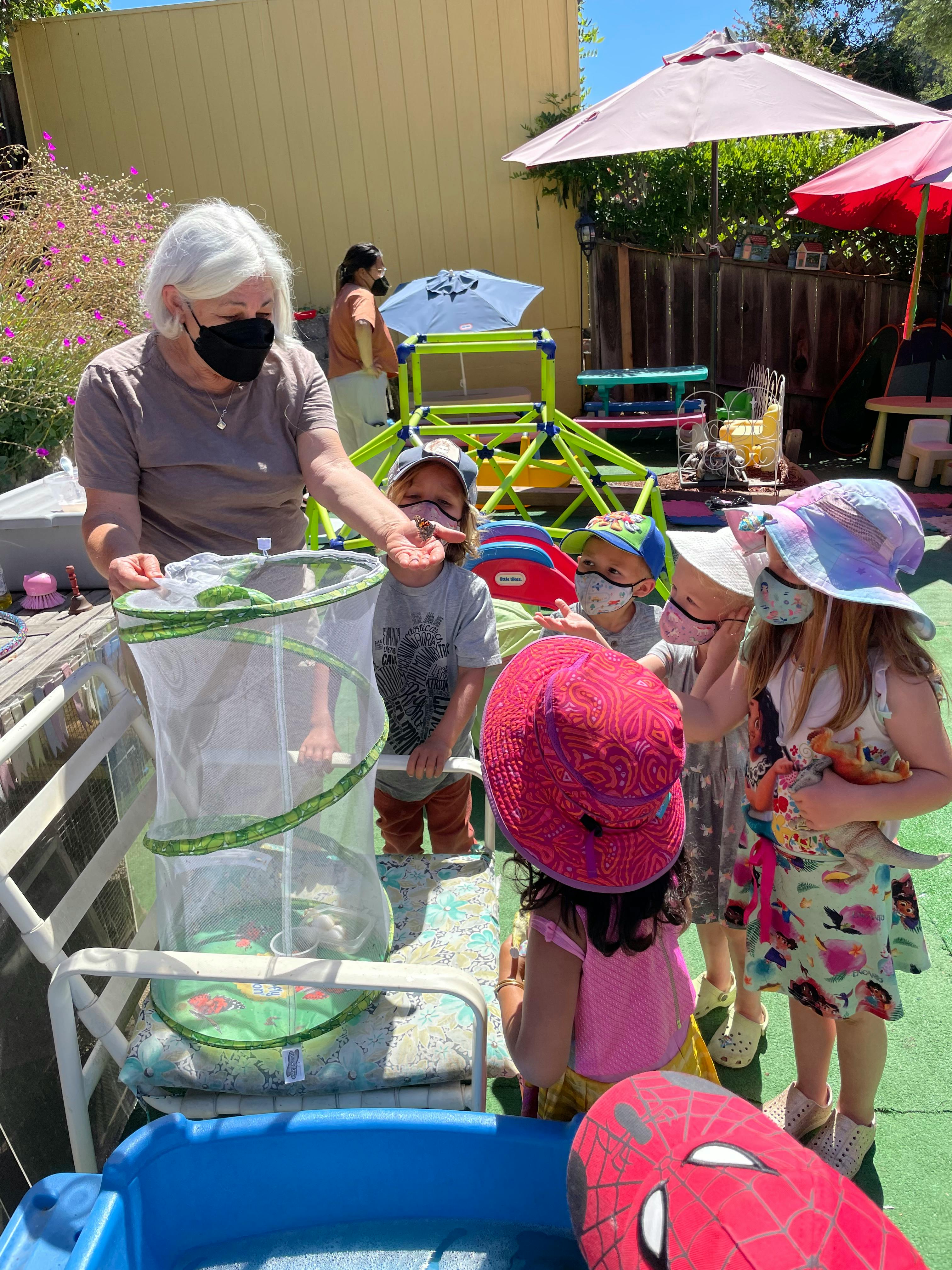 Adult and children looking at a mesh butterfly habitat