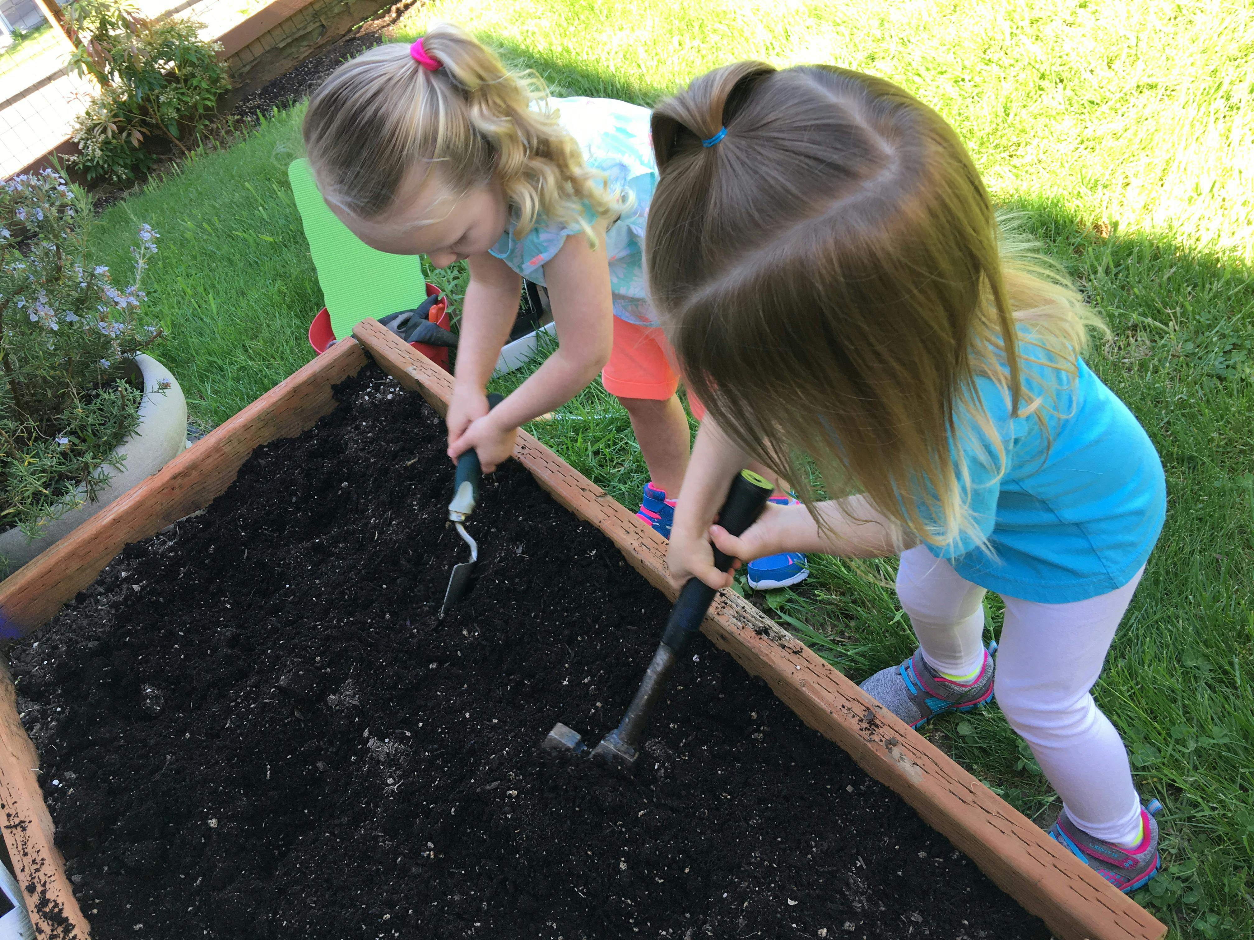 Two children digging in a raised garden bed