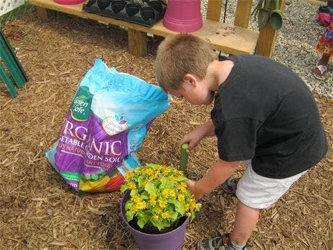 Child planting flowers in a pot with a bag of soil nearby