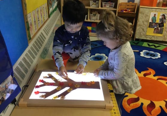 Two children playing with a light table and tree-shaped cutouts
