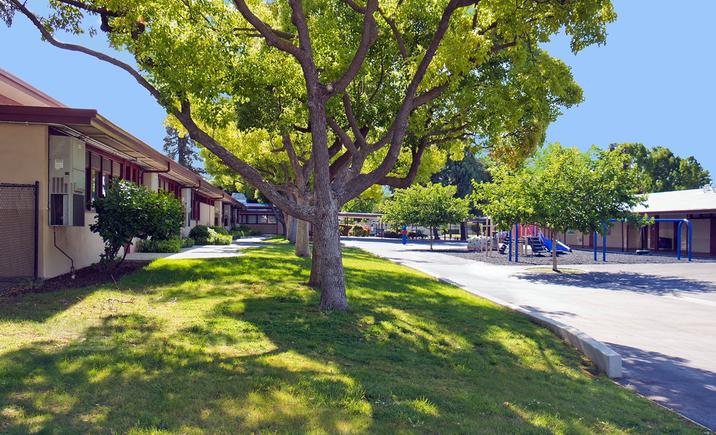 School buildings with trees and a playground