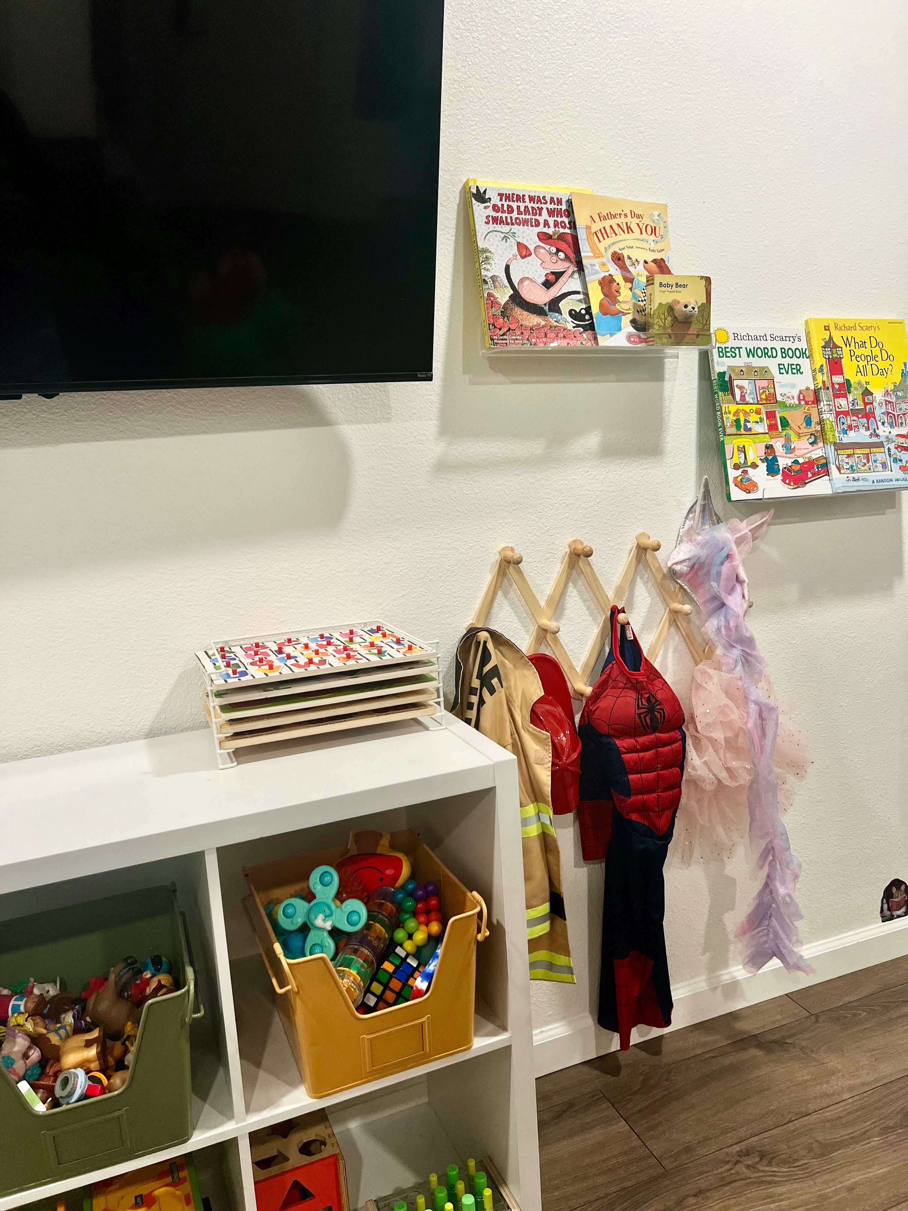 Wall-mounted books, costumes, and storage cubes with toys