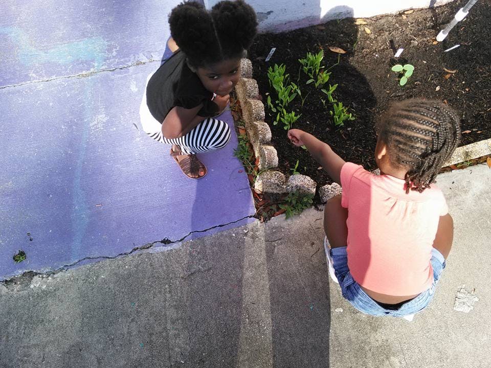 Two children crouching near a small garden bed