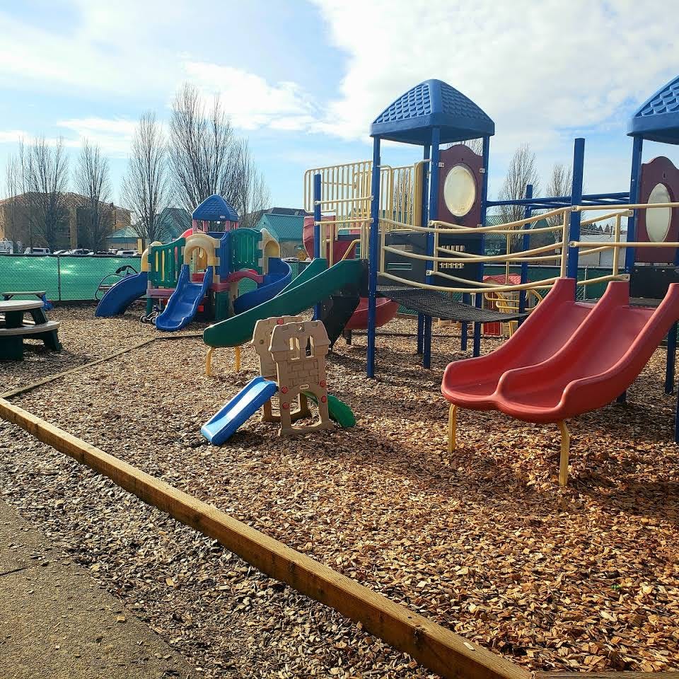 Playground with multiple slides and climbing structures