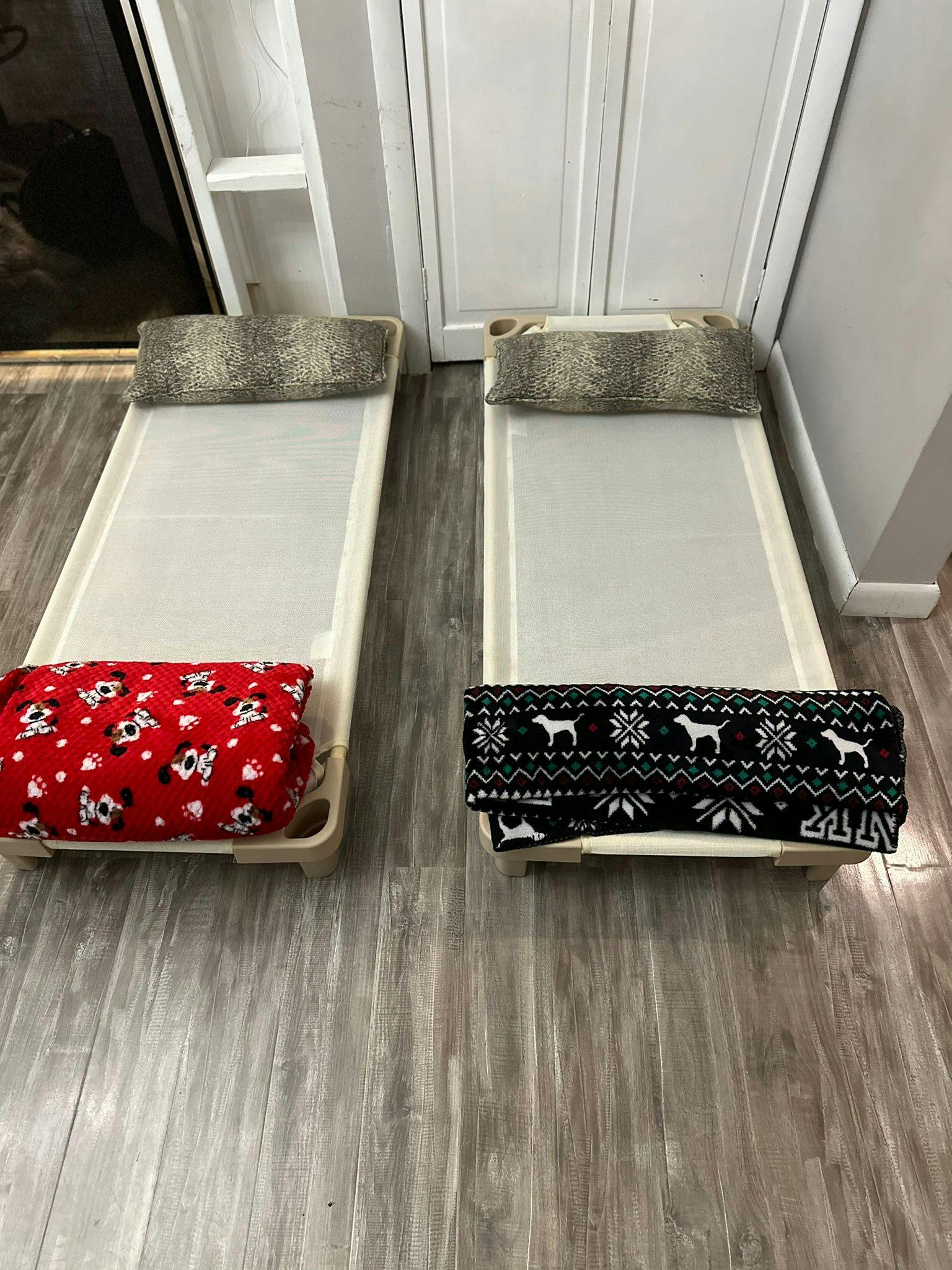 Two cots with blankets and pillows