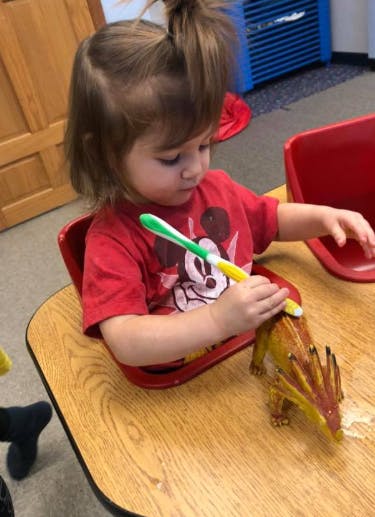 Cribs To Crayons Daycare In Lambertville Mi Winnie