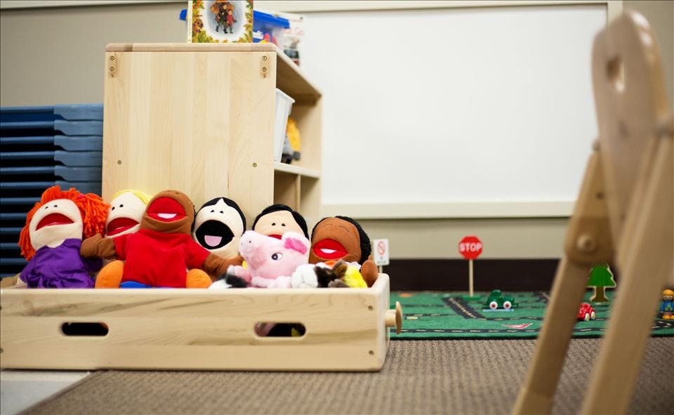 Puppets and stuffed animals in a wooden bin with a play rug on the floor