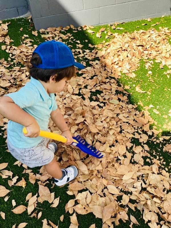 Child in a blue hat raking leaves on artificial grass